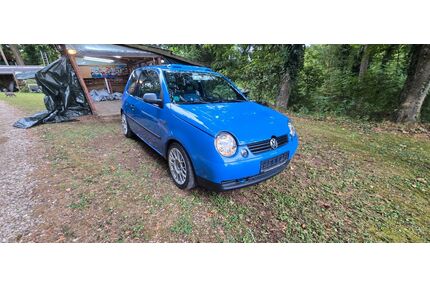 VW Lupo Gebrauchtwagen