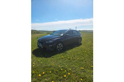 Kia ceed / Ceed Gebrauchtwagen