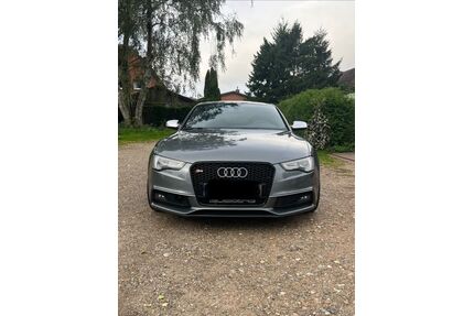 Audi S5 Gebrauchtwagen