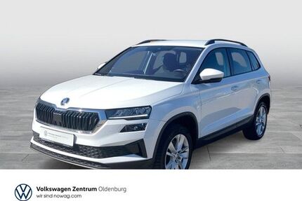 Skoda Karoq Gebrauchtwagen