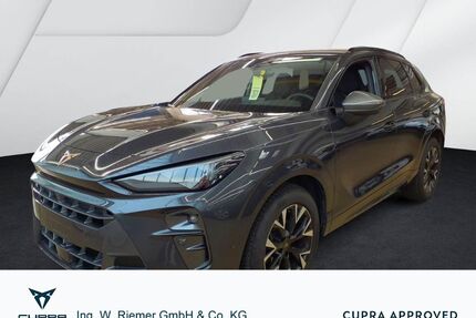 Cupra Terramar Gebrauchtwagen