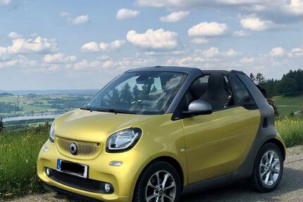 Smart ForTwo Gebrauchtwagen