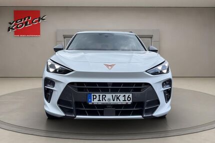 Cupra Terramar Gebrauchtwagen