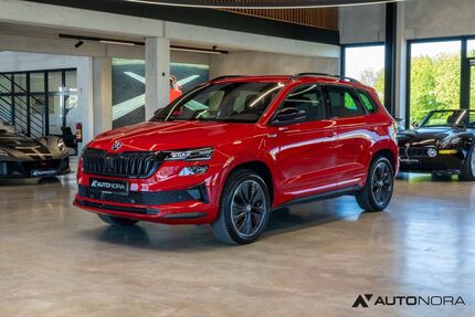 Skoda Karoq Gebrauchtwagen