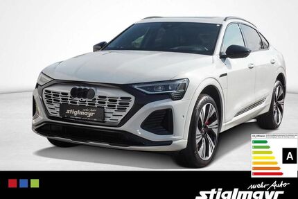 Audi Q8 e-tron Gebrauchtwagen