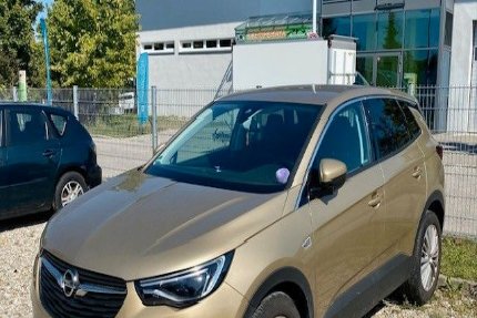 Opel Grandland (X) Gebrauchtwagen
