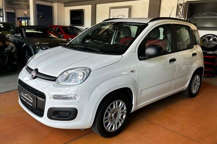Fiat Panda Gebrauchtwagen