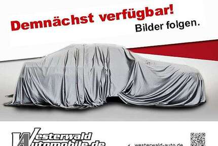 Honda Civic Gebrauchtwagen