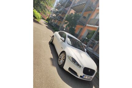 Jaguar XF Gebrauchtwagen