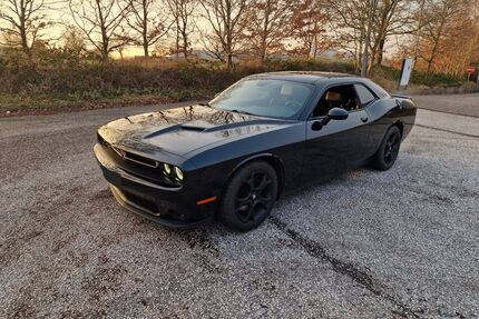 Dodge Challenger Gebrauchtwagen