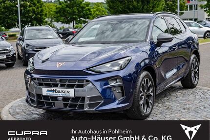 Cupra Terramar Gebrauchtwagen