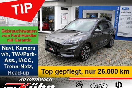 Ford Kuga Gebrauchtwagen