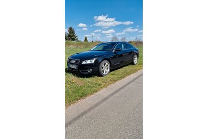 Audi A5 Gebrauchtwagen