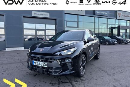 Cupra Terramar Gebrauchtwagen