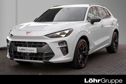 Cupra Terramar Gebrauchtwagen