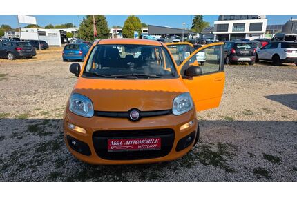 Fiat Panda Gebrauchtwagen