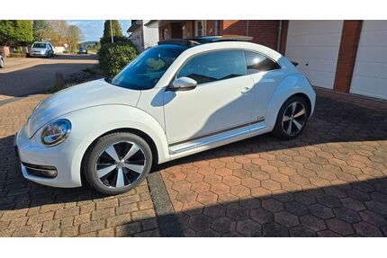 VW Beetle Gebrauchtwagen