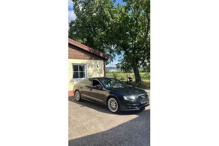 Audi A5 Gebrauchtwagen