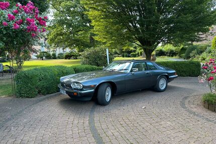 Jaguar XJS Gebrauchtwagen