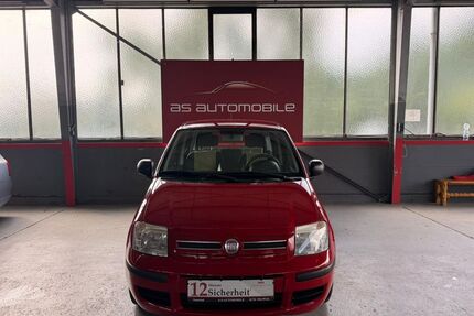 Fiat Panda Gebrauchtwagen