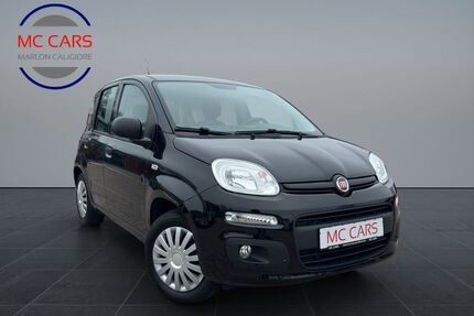 Fiat Panda Gebrauchtwagen