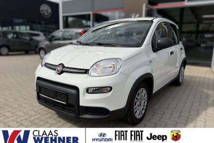 Fiat Panda Gebrauchtwagen