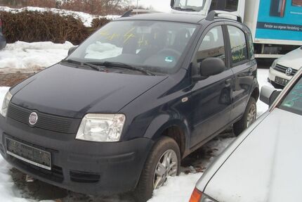 Fiat Panda Gebrauchtwagen
