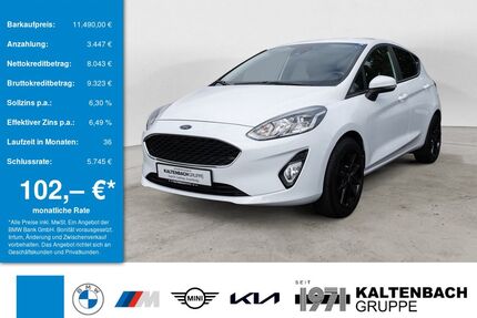 Ford Fiesta Gebrauchtwagen