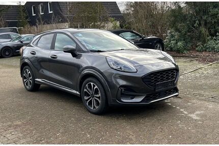 Ford Puma Gebrauchtwagen