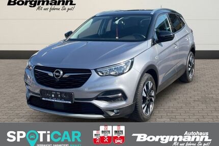 Opel Grandland (X) Gebrauchtwagen