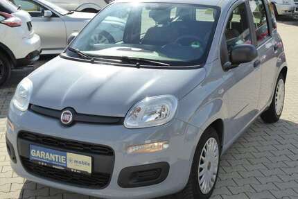 Fiat Panda Gebrauchtwagen