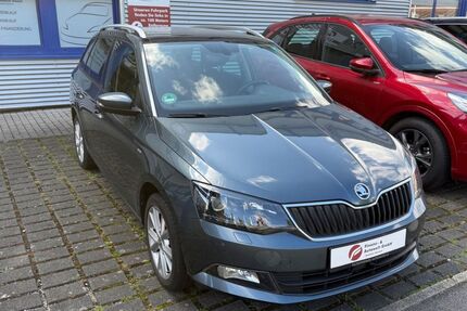 Skoda Fabia Gebrauchtwagen