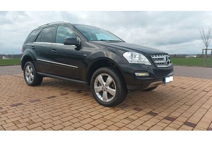 Mercedes-Benz ML 300 Gebrauchtwagen