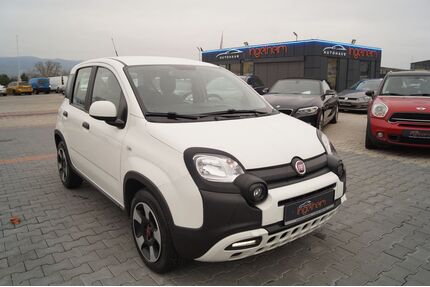 Fiat Panda Gebrauchtwagen