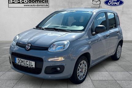 Fiat Panda Gebrauchtwagen